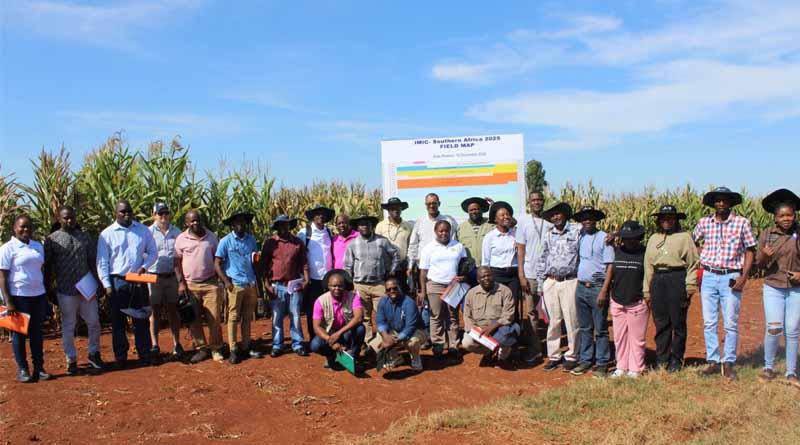 IMIC-Africa Field Day 2025: Where Science Meets Collaboration To Accelerate Maize Innovation in Africa