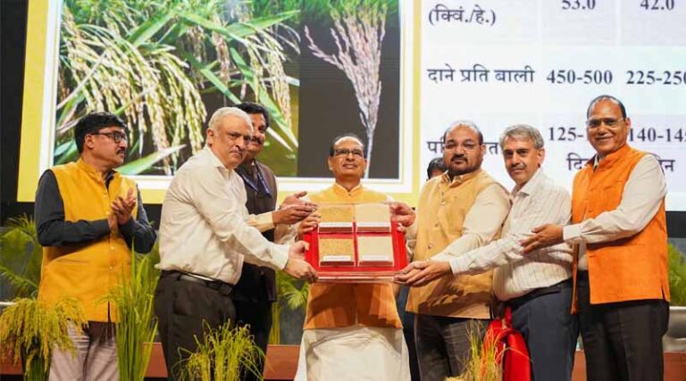 Union Agriculture Minister Shivraj Singh Chouhan Announces Two Genome-Edited Paddy Varieties Developed in India