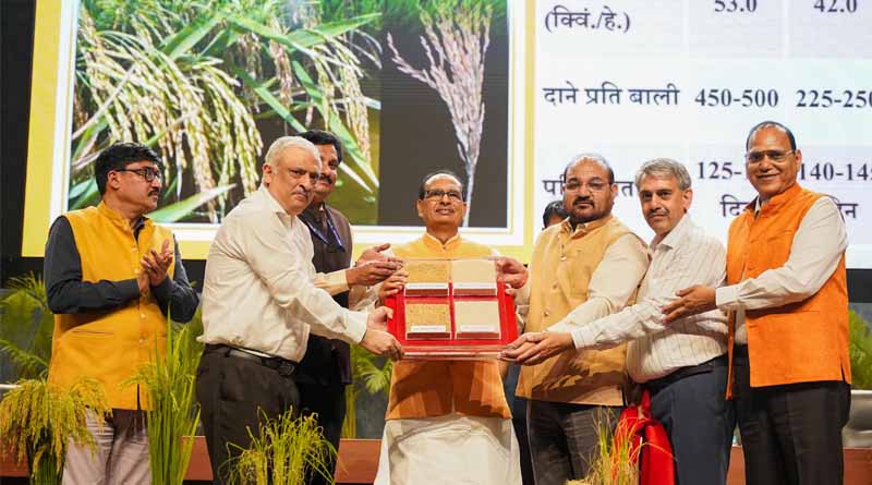 Union Agriculture Minister Shivraj Singh Chouhan Announces Two Genome-Edited Paddy Varieties Developed in India
