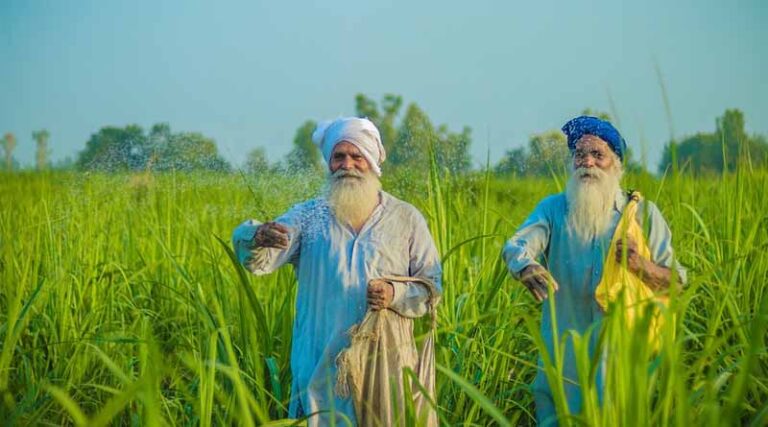 PM-KISAN 20th Installment: Complete These Mandatory Steps by May 31 or Miss ₹2,000 Payment