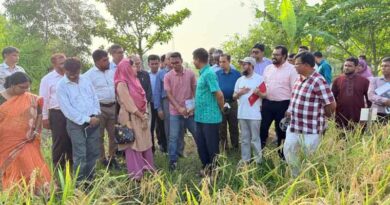 IRRI and BADC Organize Crop Cafeteria Field Day To Evaluate Suitability Of Rice Varieties