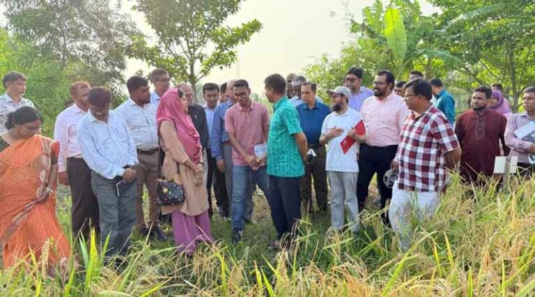 IRRI and BADC Organize Crop Cafeteria Field Day To Evaluate Suitability Of Rice Varieties