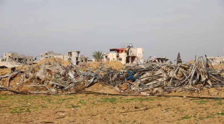 Gaza’s Agricultural Infrastructure Continues To Deteriorate At Alarming Rate