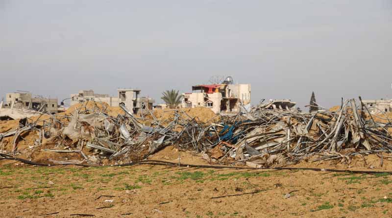 Gaza’s Agricultural Infrastructure Continues To Deteriorate At Alarming Rate