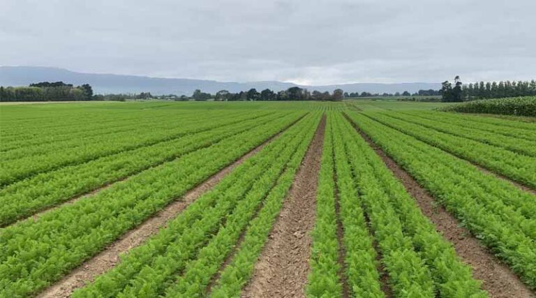 Government Steps Up To Support Growers