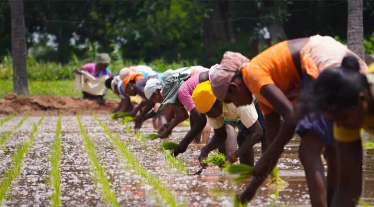 Top 10 Farm Management Software Platforms in India (2025)