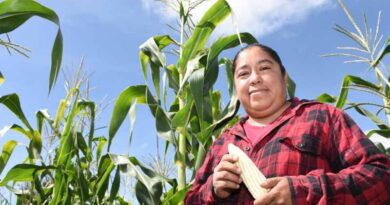 Women Who Nourish the Earth: Yuridia Hernández and the Feminine Strength in Sustainable Agriculture