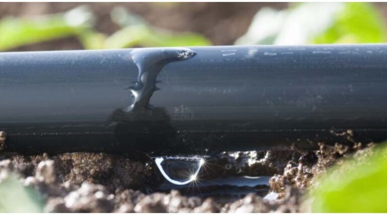 Think Beyond the Circle: How Drip Irrigation is Redefining Row-Crop Farming