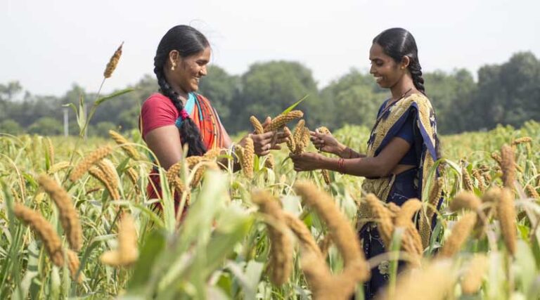 South-South Cooperation: Crucial for Transforming Agriculture
