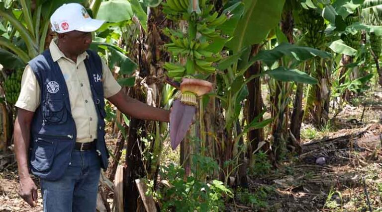 Helping Climate Resilience Along With A Little Nudging