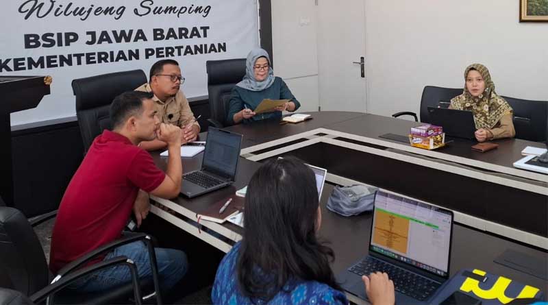 IRRI and BRMP Food Crops Collect Insights From Indonesian Rice Farmers Through Survey