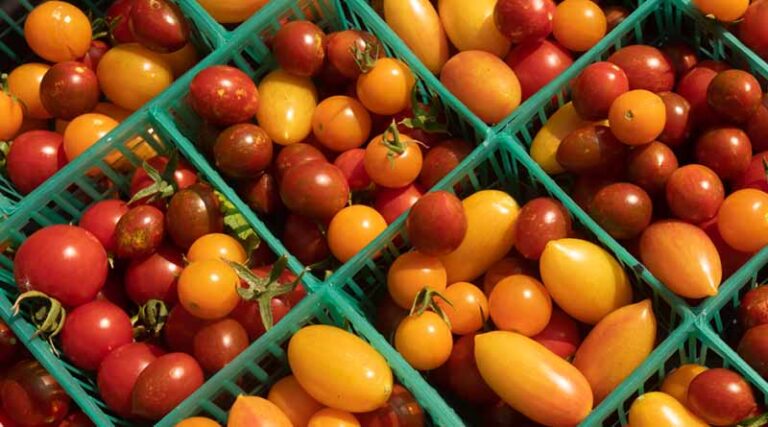 Mapping California’s Shift to Organic Farming