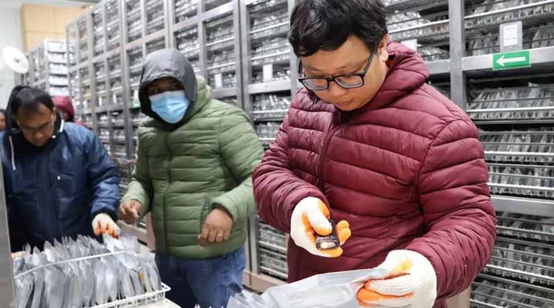 Building A Stronger Genebank Network, One Connection At A Time