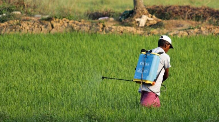 Top 10 Myths About Pesticide Use in India