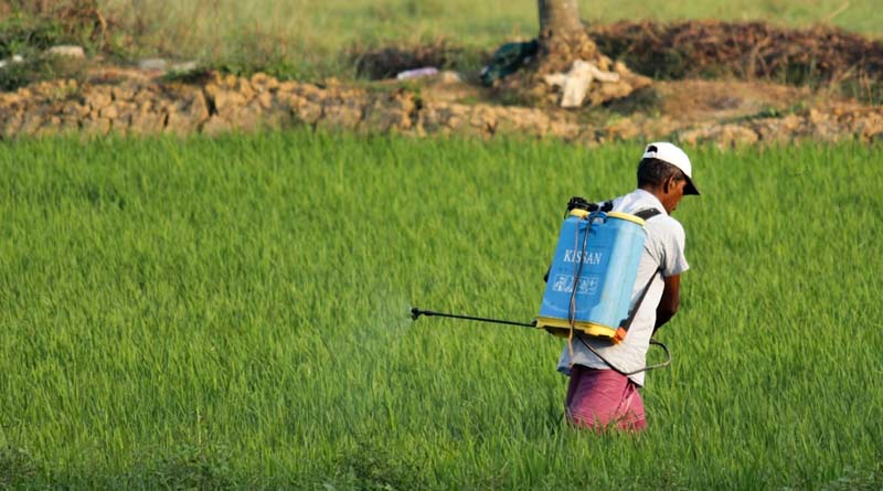 Top 10 Myths About Pesticide Use in India