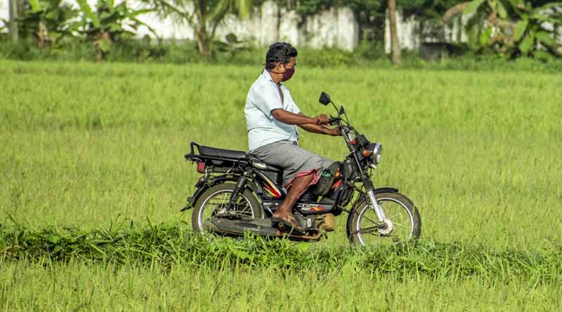 Monsoon 2025: Rainfall Expected 5 Days Early, Anticipation of Bumper Rice and Maize Crop