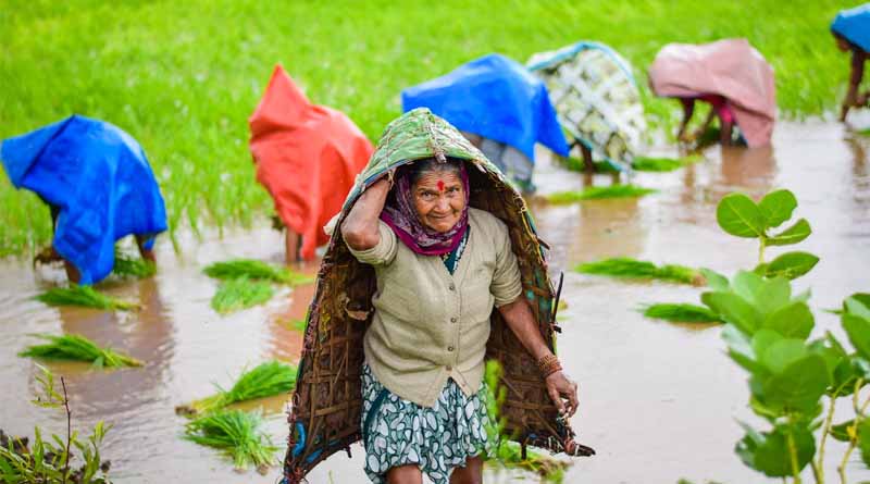 Southwest Monsoon Arrives in Andaman Sea and Nicobar Islands; Rain and Heat Alerts Issued Across India