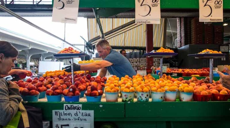 EU Pesticide Sales Drop to Lowest Level Since 2011