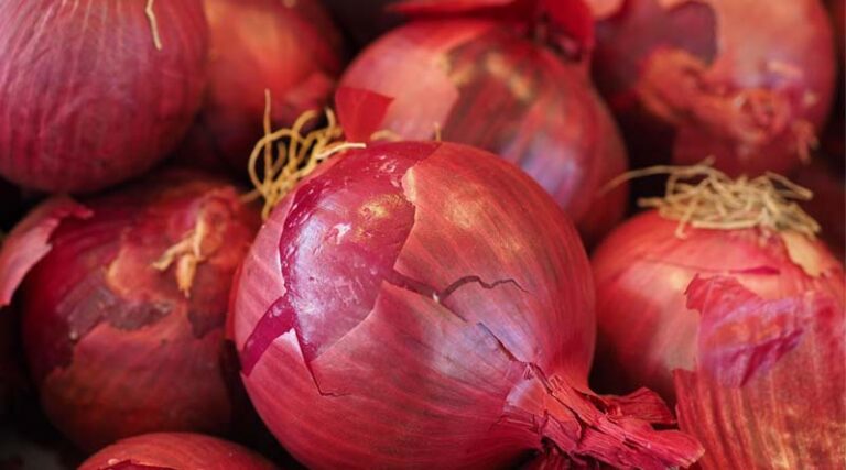 Onion Pic