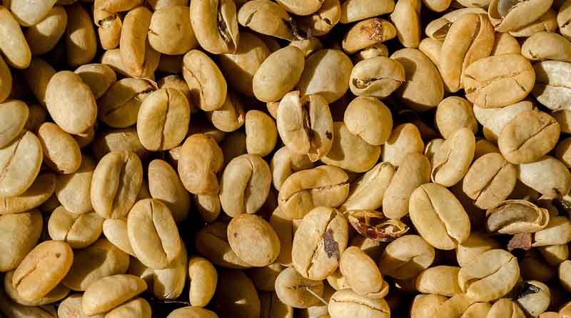 Green Manure Crops for Soil Health After Rabi Harvest: Cluster Bean, Daincha, and More - IARI Advisory