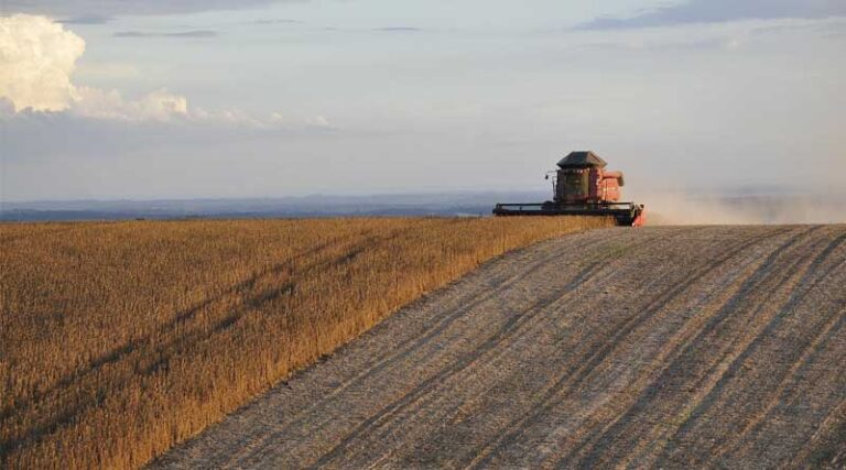 Brazil: 10 Companies Responsible for 60% of Lawsuits to Expedite Pesticide Approval