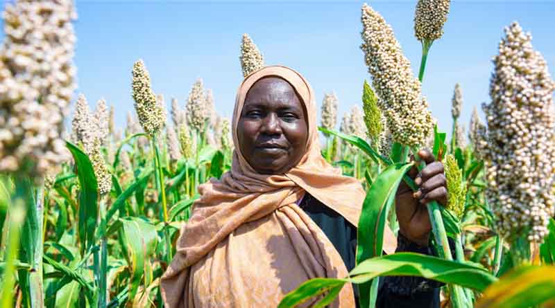 Half the World’s Best Farmland for Key Crops Could Be Lost by 2100, Says FAO’s New Climate Mapping Tool