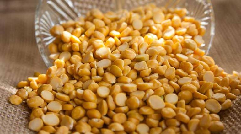 High Yielding Varieties of Pigeonpea (Arhar): IARI Seed Treatment and Moisture Management Guide