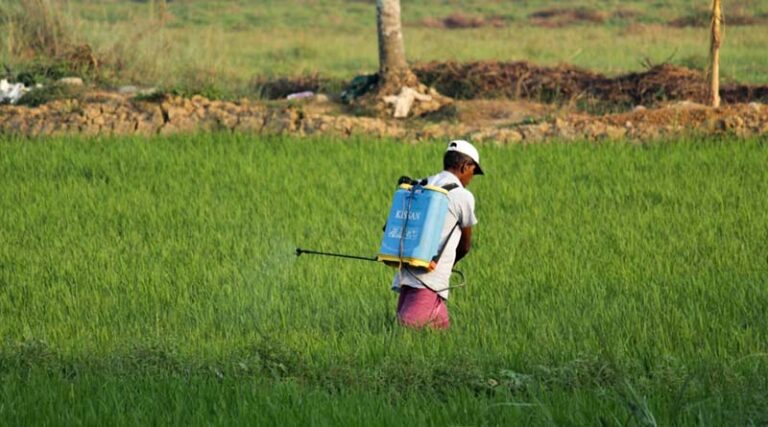 India’s Agrochemical Market Hits $11.2 Billion in FY2025, Eyes $14.5 Billion by 2028: Rubix Data Sciences