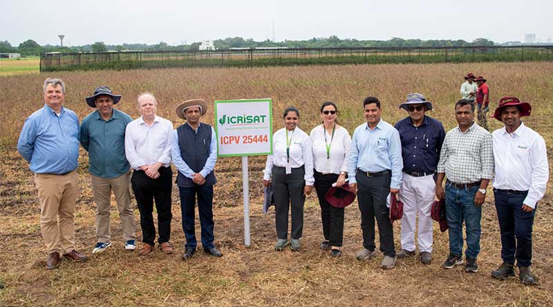 World’s First Heat-Tolerant Pigeonpea Developed Through Speed Breeding Offers Lifeline to Indian Farmers