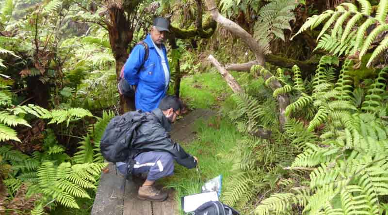 Managing The Pathogens Threatening St Helena’s Biodiversity And Food Security