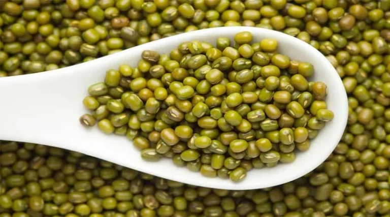 Madhya Pradesh Government Declines Moong Procurement; Cites Herbicide Use as Key Concern