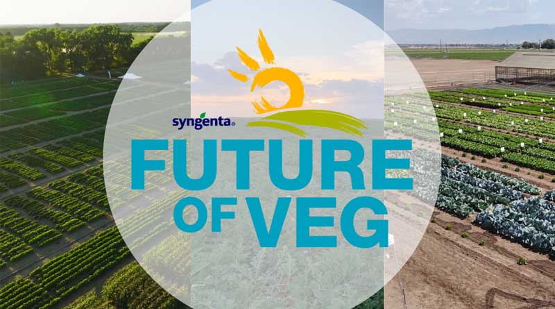Syngenta’s Future of Veg Events Beckon New Era in Production