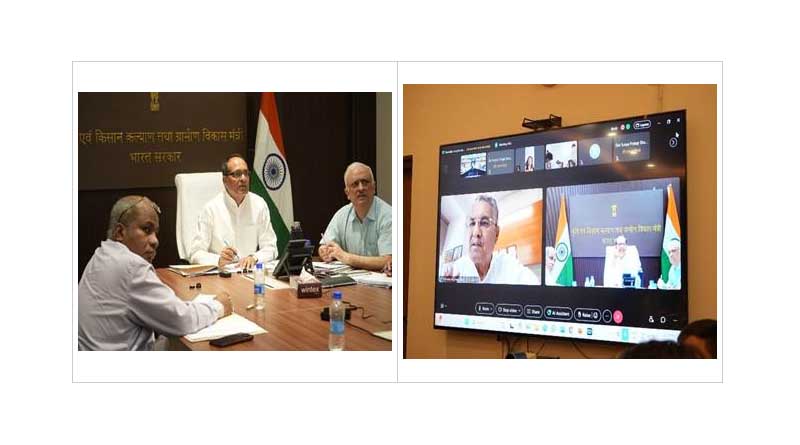 Big Boost for Farmers: Government Approves Massive Procurement of Summer Moong and Groundnut for 2025–26 Season