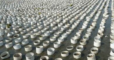 Center for Food Safety Files Motion to Halt Nine Industrial Shellfish Operations in Washington's Coastal Waters