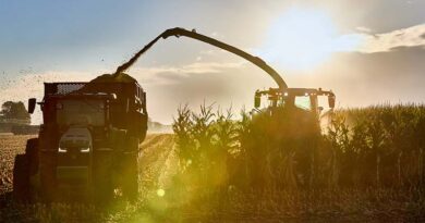 Pivot Bio Delivers Record Performance for Farmers in 2024