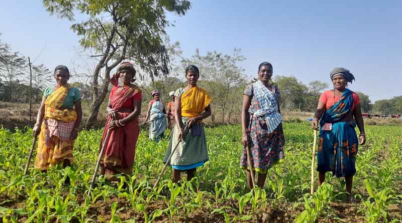 Villgro and 360 ONE Foundation Unlock ₹17.9 Crore in Debt for Impact Startups