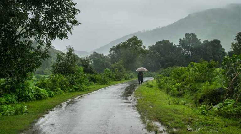 Weather Update for Maharashtra: Rain, Thunderstorms, and Gusty Winds Expected Till 7 June 2025
