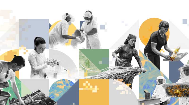 FAO Investment Centre Annual Review: A Look Back At 2024