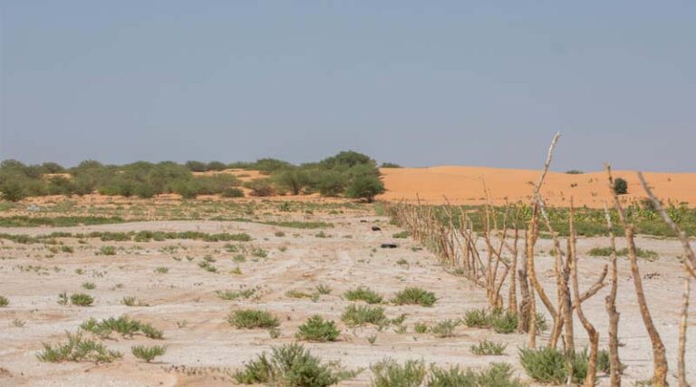 FAO Study Reveals Alarming Agricultural Land Degradation In The Arab Region