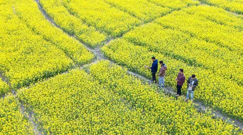 Kisan-Vigyan Foundation Urges Government to Prioritize Weed Management for India’s 2047 Food Security Vision