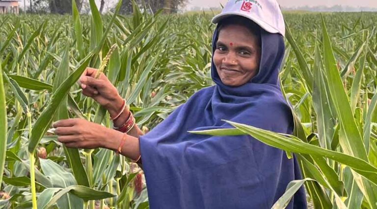 Building A Sustainable Hybrid Seed Market System In Nepal To Enhance Food Security And Farmers’ Profitability: Transforming The Seed Sector Through Local Capacity Development