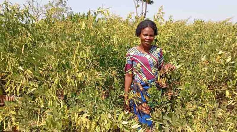 Mother Farmers: Cultivating Change and Growing Resilience