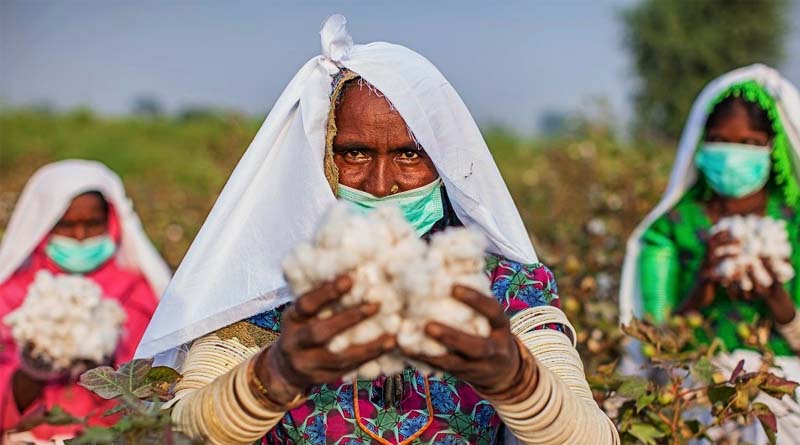 Empowering Farmers Through Digitalisation: Strengthening The Future Of The Cotton Industry