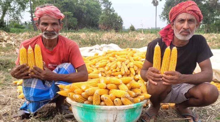 Take It To The Farmer: Partners Trained On Positioning & Scaling Climate-adaptive Maize In Rainfed Marginal Ecologies