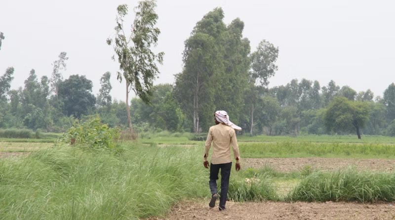 Haryana Maintains Subsidized Power Tariff for Farmers Amid Rising Operational Costs