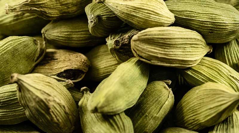 ICAR-IISR Develops Biopesticide Formulation to Combat Cardamom Thrips