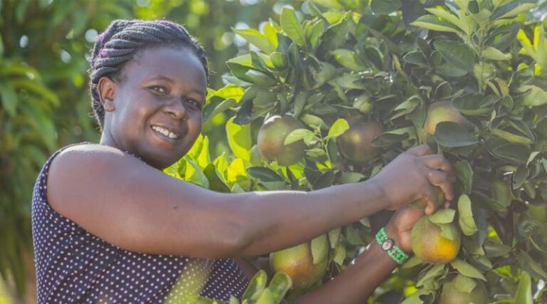 From Climate Crisis to Climate Resilience: In Africa at Local and Regional Levels