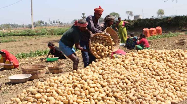 Rita Devi’s Small Farmers Large Field Model Revives Agriculture In Bihar