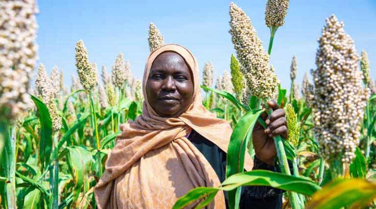 New Data Shows That Crops Like Wheat, Coffee, Beans And Cassava Could Lose Half Of The Best Land For Growing Them By 2100