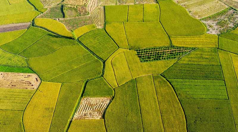 Agribusiness 4.0: How GIS & GPS Are Reshaping India’s Agri-Industry
